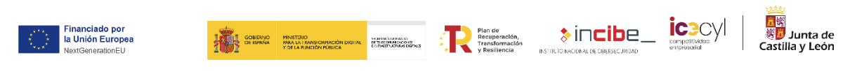 Franja con logotipos institucionales: Unión Europea–NextGenerationEU; Gobierno de España (Ministerio para la Transformación Digital y de la Función Pública); Plan de Recuperación, Transformación y Resiliencia; INCIBE; ICECYL; y Junta de Castilla y León.