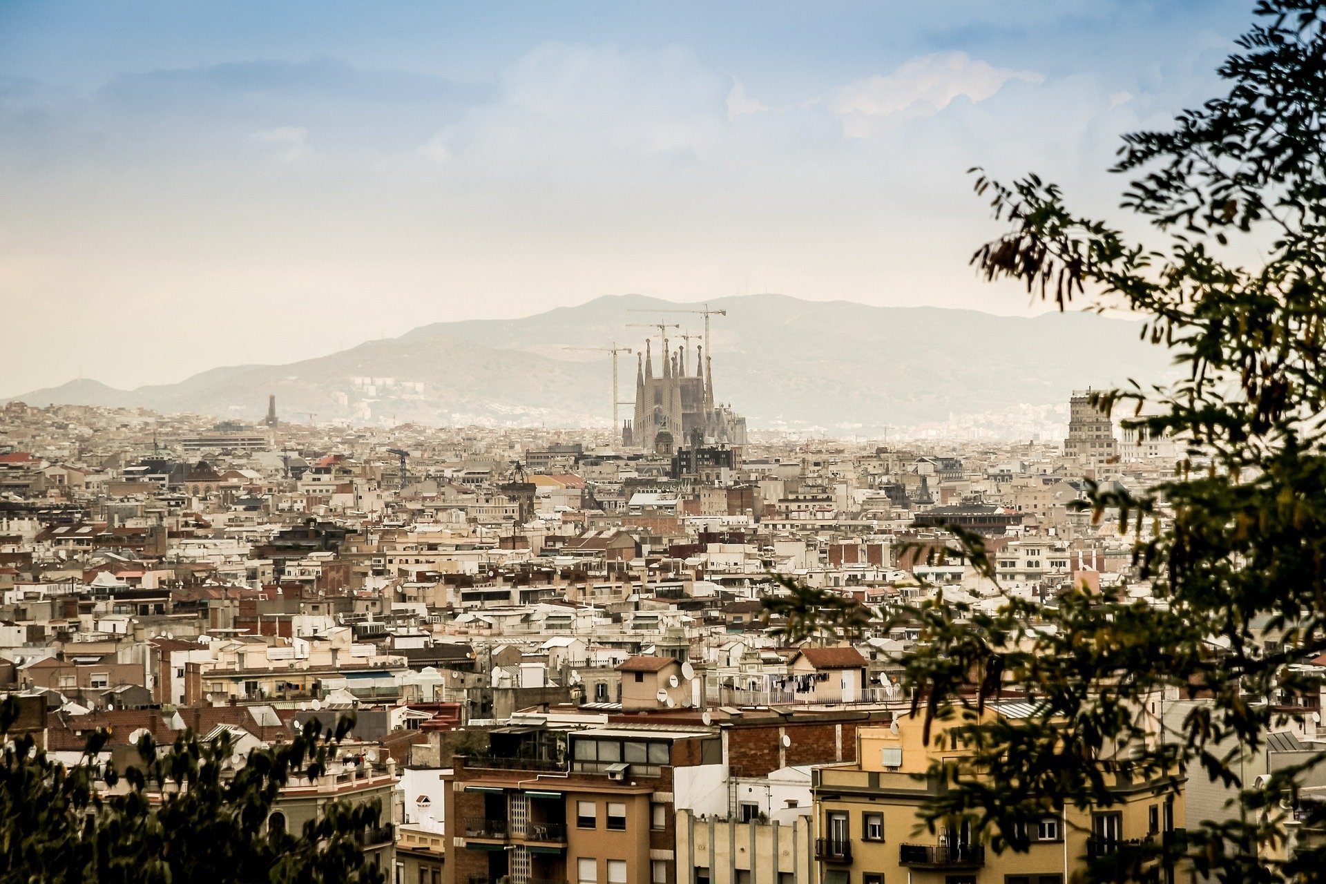 Visionado de panorámicas y LOPD | Grupocfi